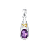 Capricorn Zodiac Symbol Silver and Gold Pendant MPD818 - Jewelry