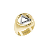 Solid Yellow Gold Band Ring With White Gold AA Recovery Symbol RRI2395-V1