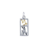 Capricorn Silver and Gold Charm MCM292 - Jewelry