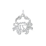 Cancer Zodiac Silver Charm by Amy Zerner TCM500 - Jewelry
