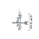 Sagittarius Zodiac Silver Charm by Amy Zerner TCM505 - Jewelry