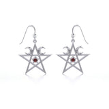 Silver The Star Earrings TE2875 - Jewelry